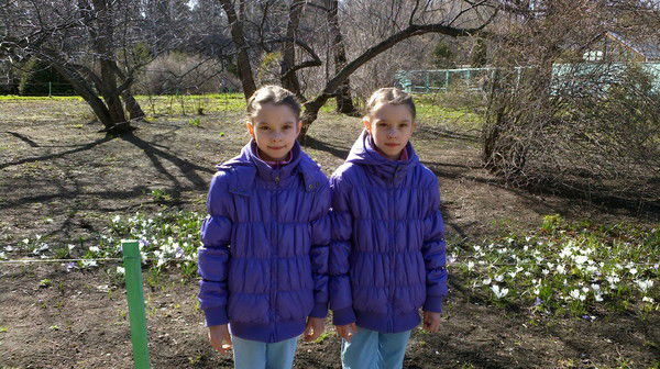 Алина И Полина Басковы