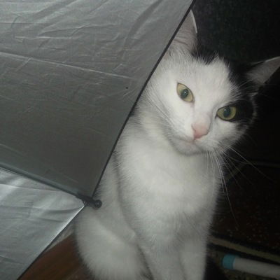 Лена Магсумова