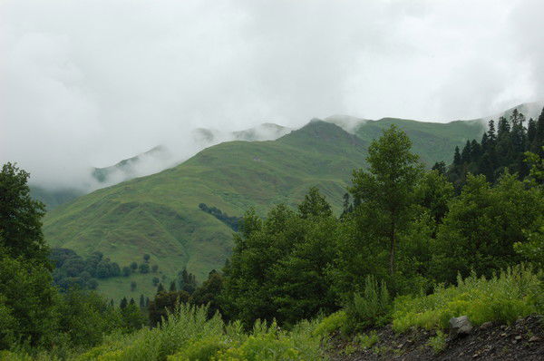 Елена Гориченская