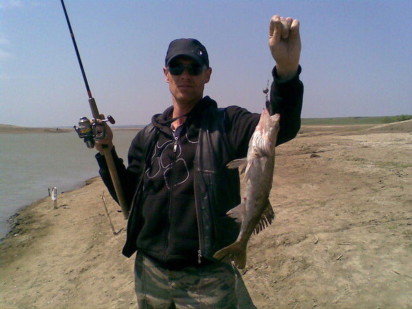 Николай Николаевич