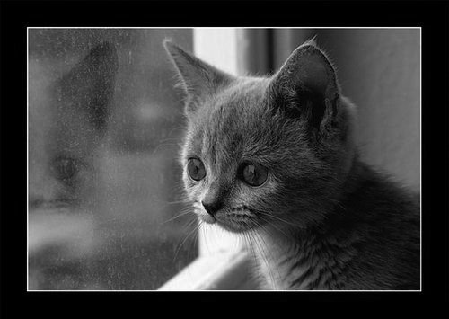 Ева Беридзе