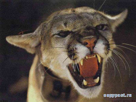 Жанабай Кадыров