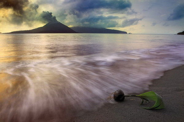 Мартынова Елена