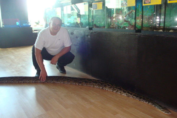 Владимир Алексеев