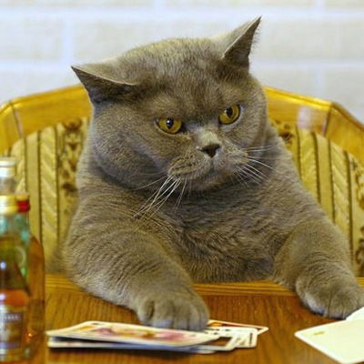 Никита Сергеев