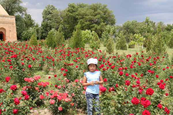 Аружан Жаксыбай