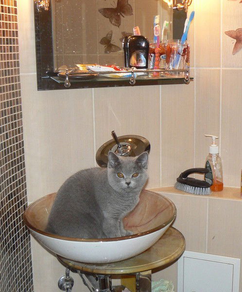 Ната Слизевская