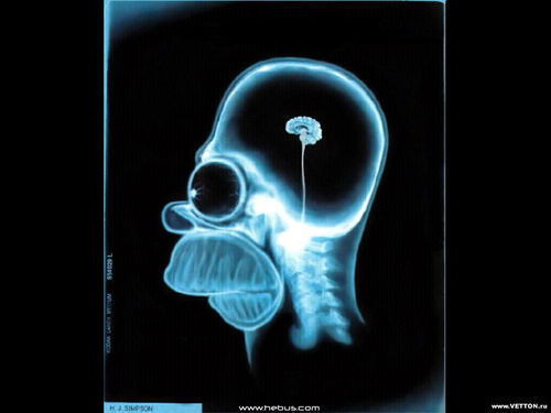 Василий Куралесов