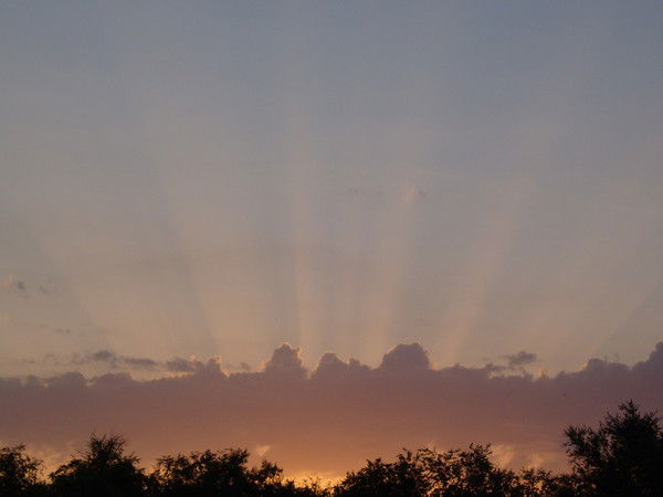 Петр Савченко