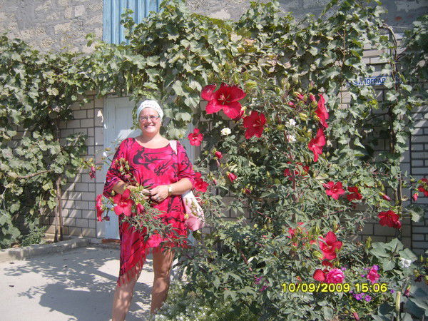 Елена Владимирова