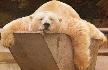 Максим Явтушенко