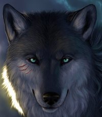 Рамиль Ураков