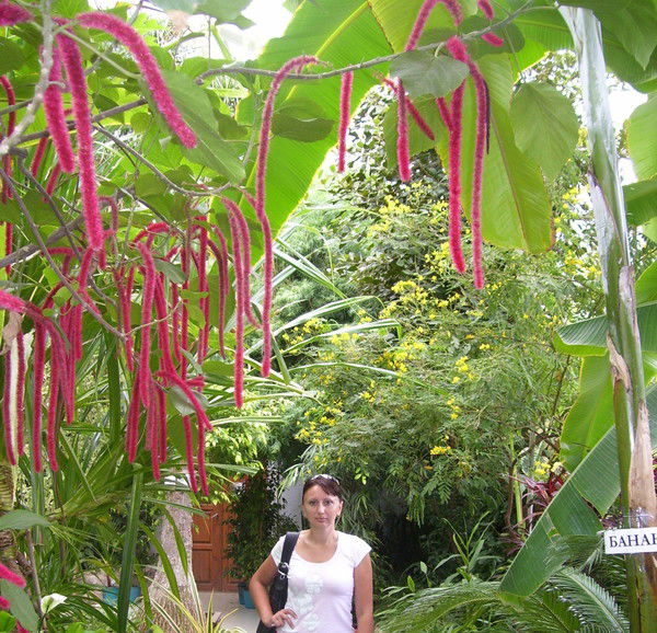 Олька Бойко