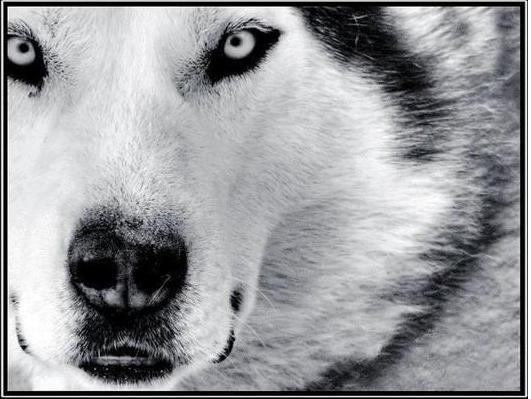 Избасар Таганов