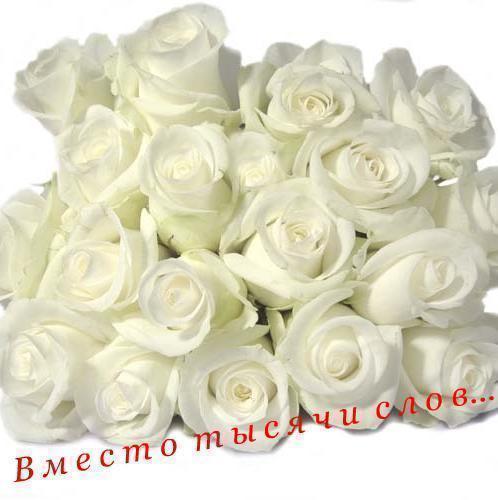 Сауле Нурмагамбетова