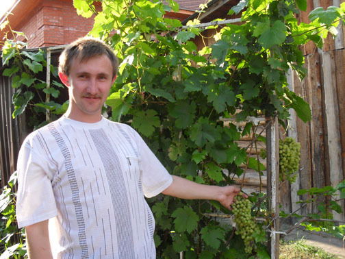 Владимир Лекомцев