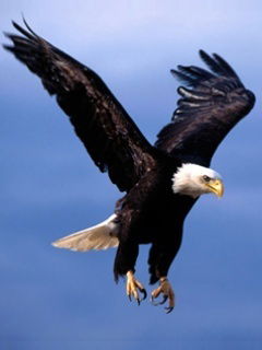 Александр Стыпник