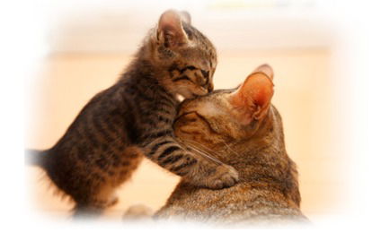 Юлия Разгоняева