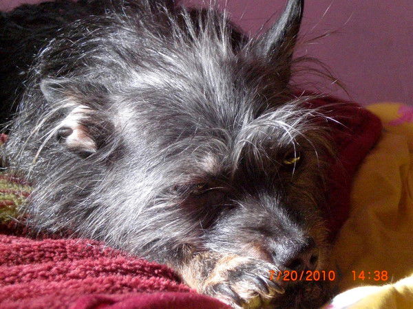 Надежда Проскурякова