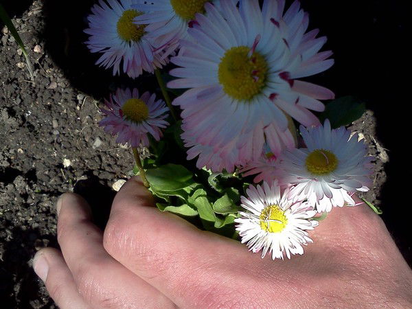 Дмитрий Борисенко