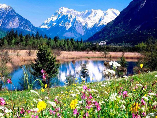 Надежда Дурсенева