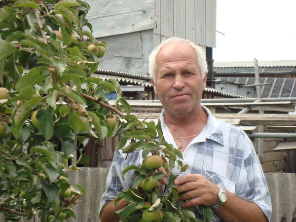 Владимир Мессерле