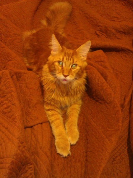 Рекламное Агентство Успех-Дв