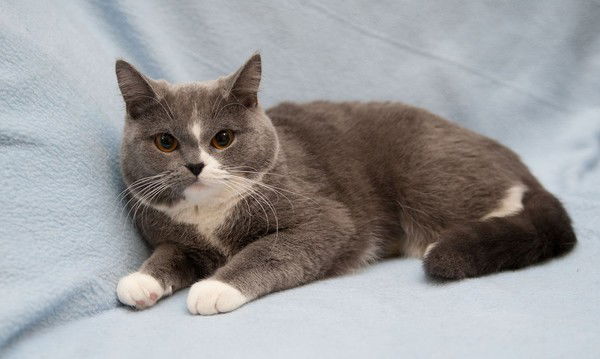 Алексей Никифоров