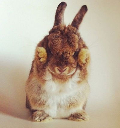 Елизавета Вольных