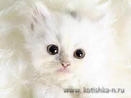 Наталья ********