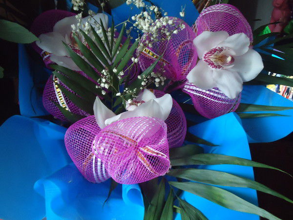 Ольга Долгушина