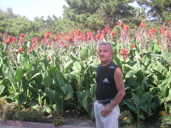 Борис Чаадаев