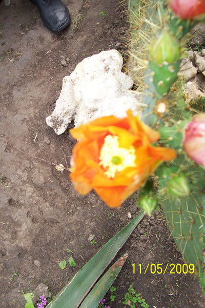 Таисия Васина