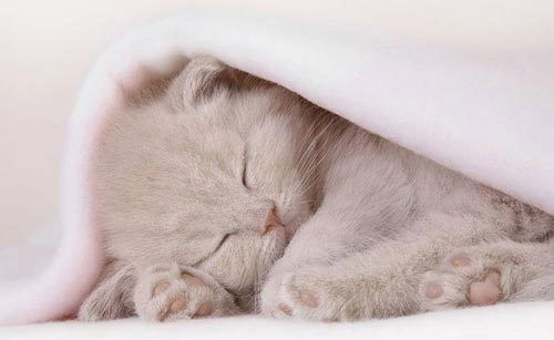 Татьяна Кучер