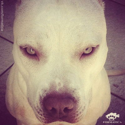 Неля Усманова