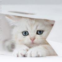 Екатерина Кузьмина