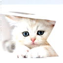 Екатерина Кузьмина