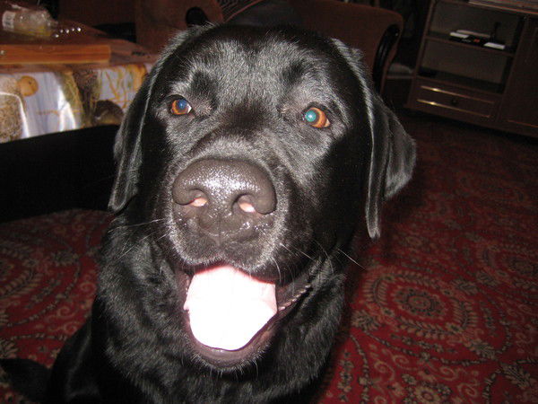 Евгений Сомов