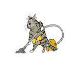 Компания Зет