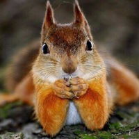 Вера Ильина