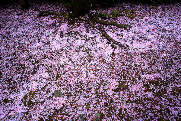 Райхан Маденова