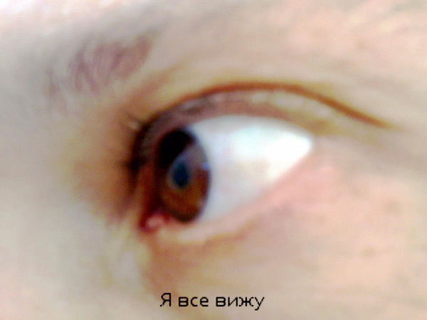 Андрей Зинович