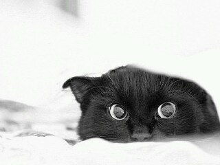 Ильяна Искандарова