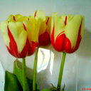 Улжан Утеуова