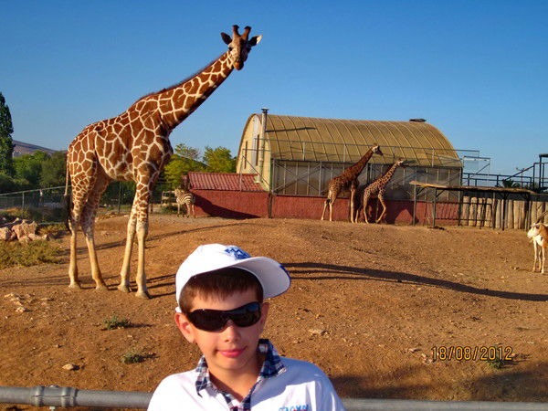 Никита Полянский