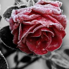 Людмила Бобкова