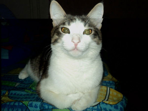 Виталик Васильев