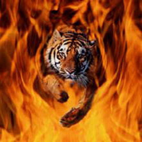 Олег Мануйлов