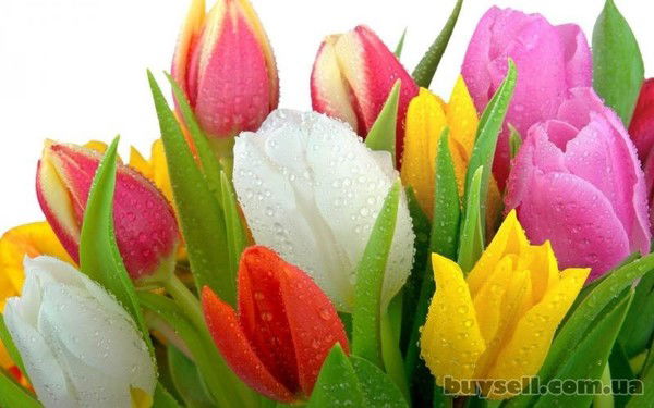 Мбоу Гимназия № 20