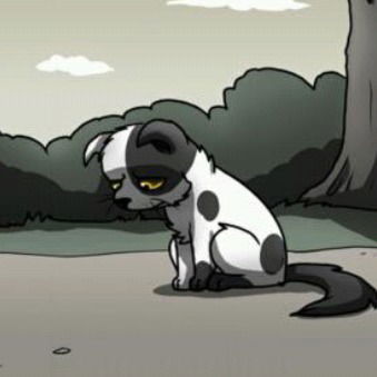 Абылай Истаев